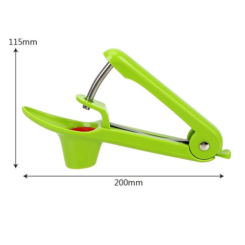 Fruit Pitter Remover