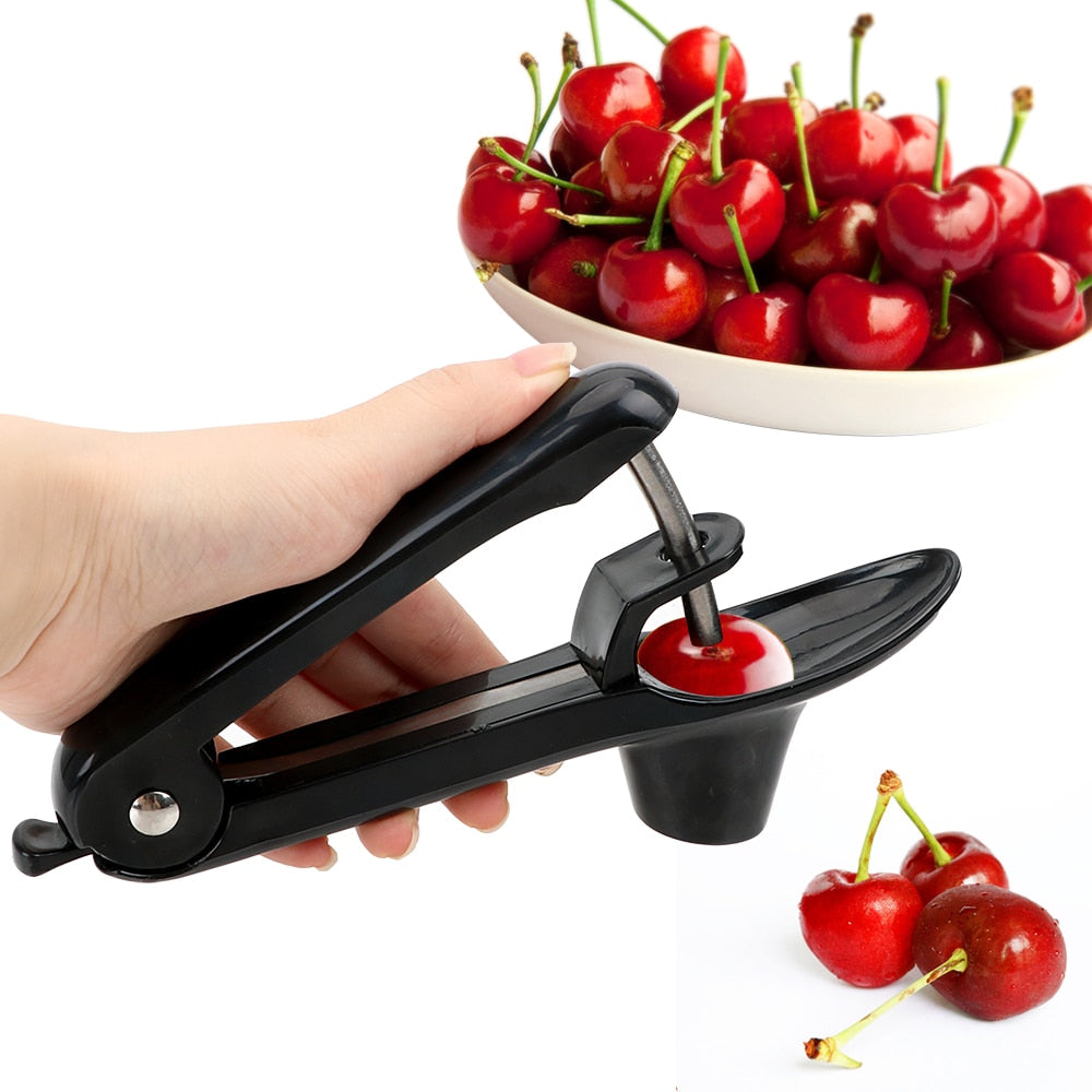Fruit Pitter Remover