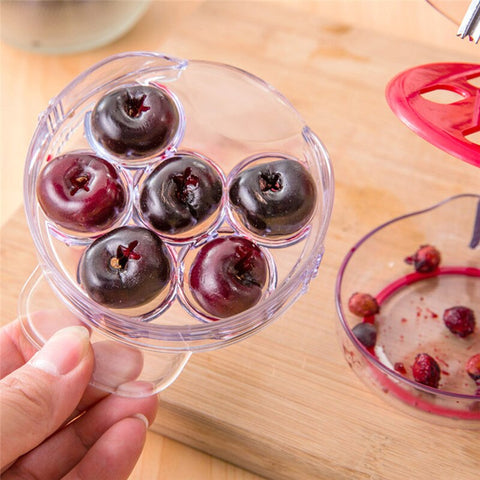 Fast Cherry Seeds Remover