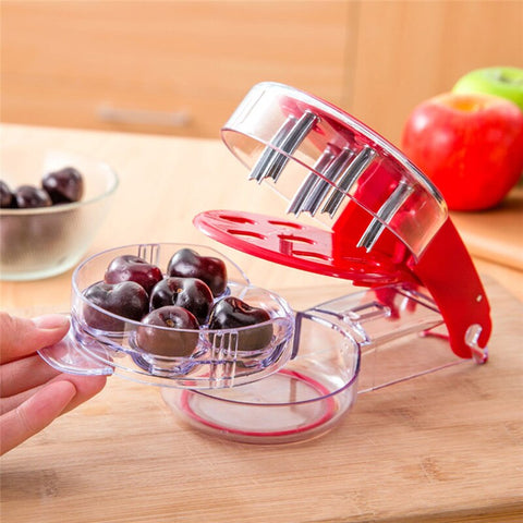 Fast Cherry Seeds Remover