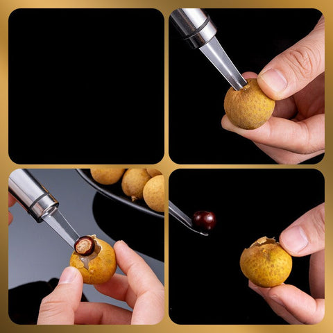 Fruit Pitter Removal Tool